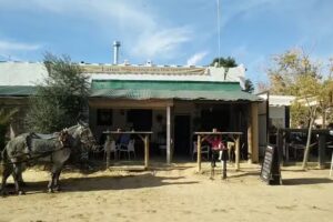 Freidur&iacute;a marisquer&iacute;a La&iacute;no