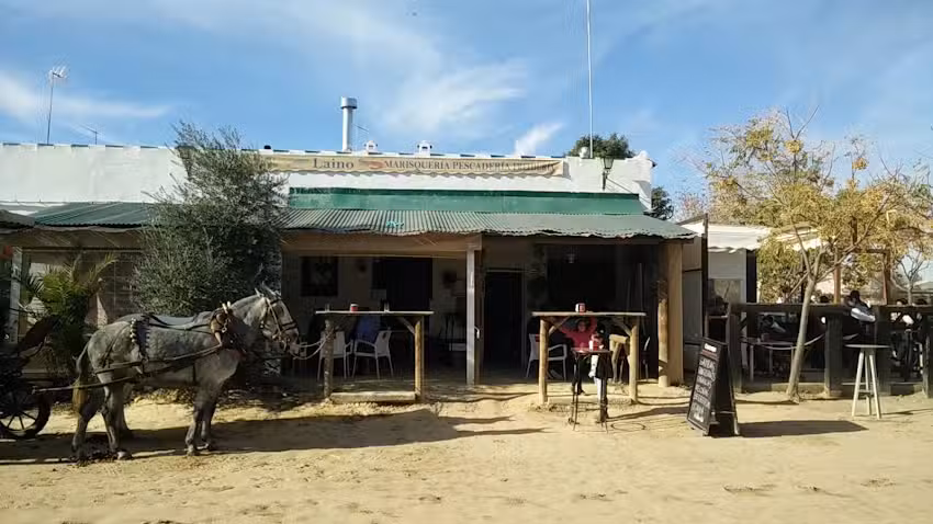 Freidur&iacute;a marisquer&iacute;a La&iacute;no