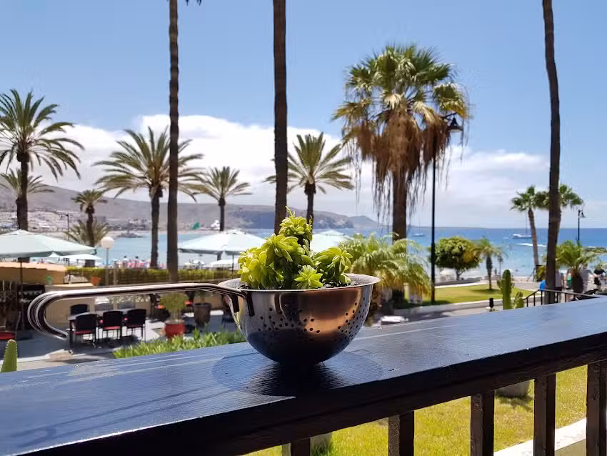 Friends Lounge Bar & Restaurant