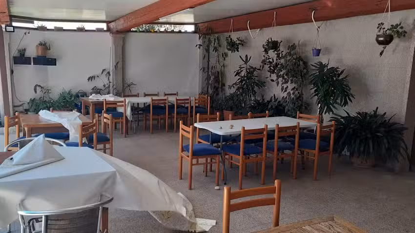 Furancho Asociacion adega amigos de jr