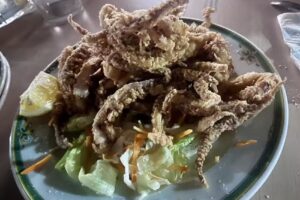 GARIBALDI &middot; EXPERIENCE