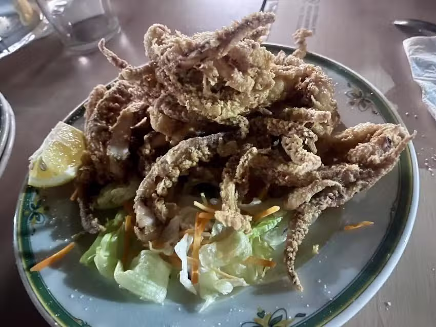 GARIBALDI &middot; EXPERIENCE