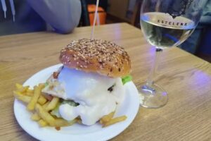 Gastroteka Astelena Hirurok