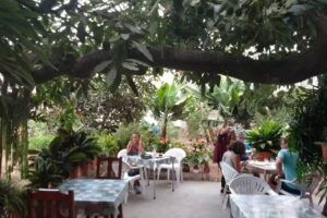 Guachinche Las Galanas