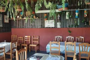 Guachinche Vi&ntilde;a Cantera