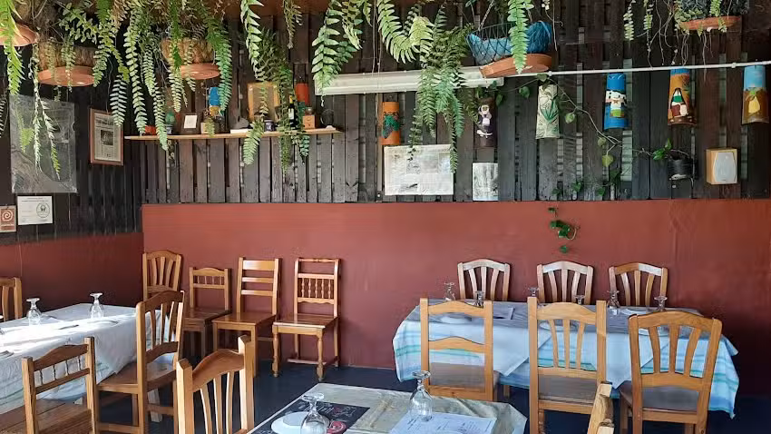 Guachinche Vi&ntilde;a Cantera