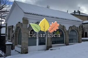 Hojarasca