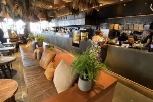 Honest Greens Pascual i Gen&iacute;s