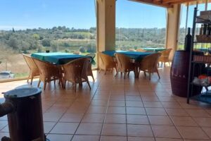 Hortella d’en Cotanet