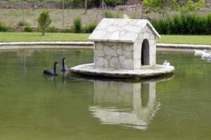 Hostal Restaurante El Palomar