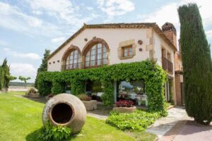 Hotel Mas Sol&agrave;