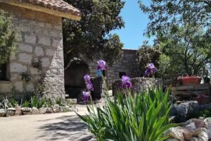 Hotel Rural y Restaurante Huerto San Antonio