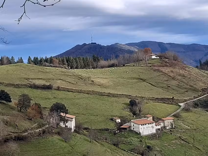 IMAZ jatetxea