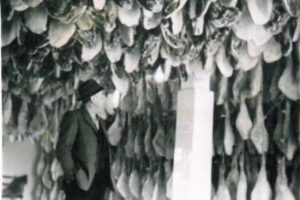 Industrias C&aacute;rnicas Hermanos Bazo Mart&iacute;n S.L. &ndash; Aura Ib&eacute;rica