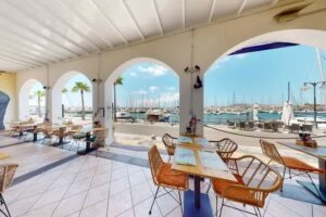 Jungle Vibes At The Marina