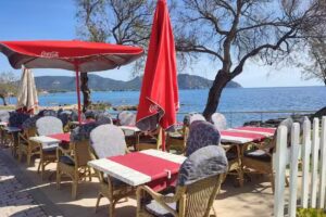 Kashmir Tandoori indian Restaurant