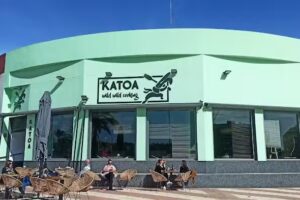 Katoa wild wild cooking