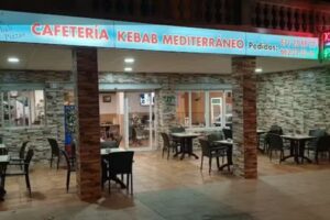Kebab Mediterráneo