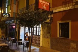 King Doner Kebab Pizzer&iacute;a Y Asador De Pollos