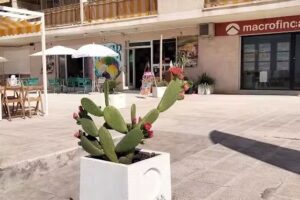 Kismar con sabor latino