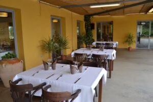 L&rsquo;hort del Pere