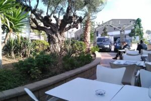 L’Olivera de Cabrera