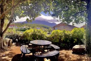 La Antigua Central. La Pesa Llanes