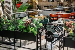 La Cueva de 1900 / Nevada II (Planta baja)