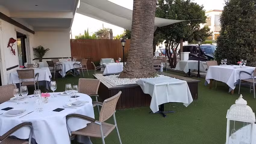 La Palmera de la Llosa