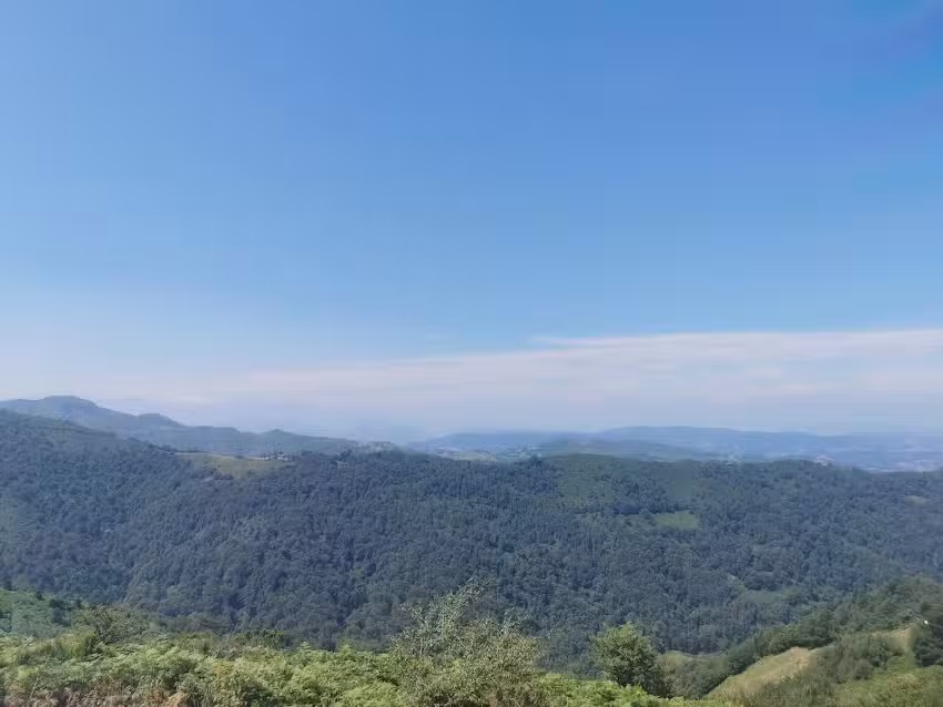 La polaura