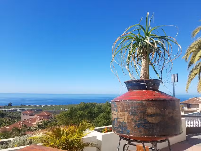 La Tasquita