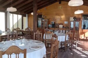 La &Uacute;nica Le&oacute;n