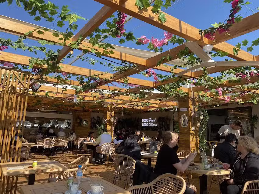 La Vue Matar&oacute;