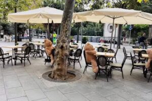 Lilo Brunch | Enric Granados