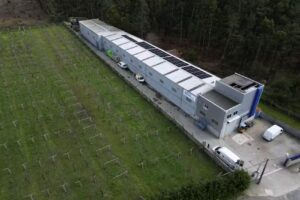 Mariscos Cordal S. L.