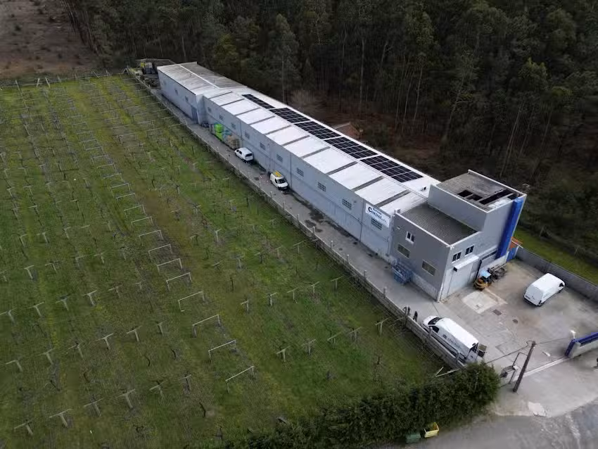 Mariscos Cordal S. L.