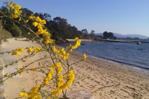 Mariscos Joyfra S.L.