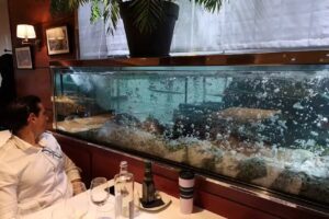 Marisqueria El Capit&aacute;n Garfio