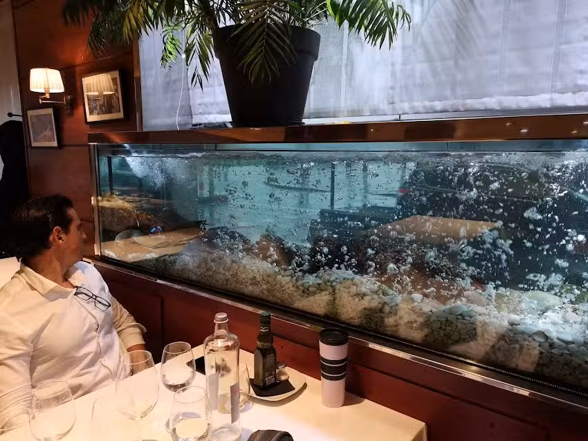 Marisqueria El Capit&aacute;n Garfio