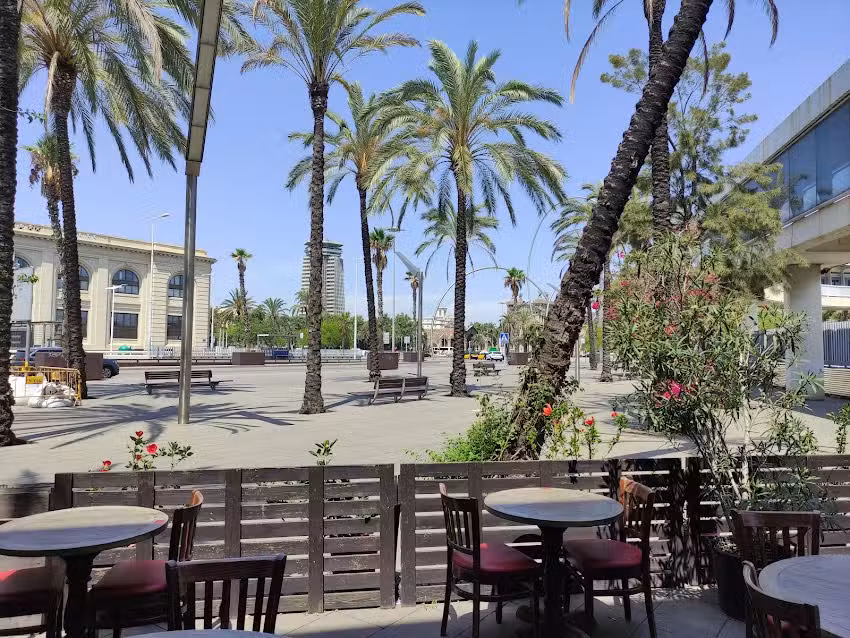 Mediterr&agrave;nia Brasserie