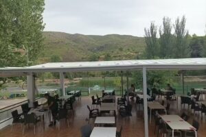 Merseguera del Turia