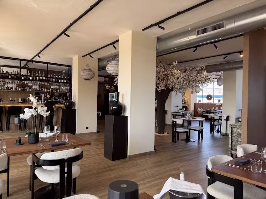 MESA La Marina &ndash; D&eacute;nia