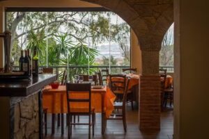 MES&Oacute;N ASADOR VI&Ntilde;OLO