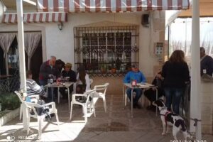 Mes&oacute;n Avenida