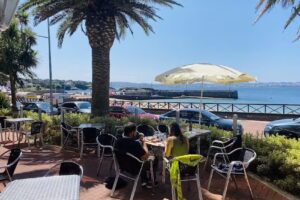 Mes&oacute;n Flor de Lis