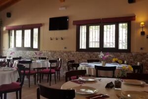 Mes&oacute;n Nacimiento