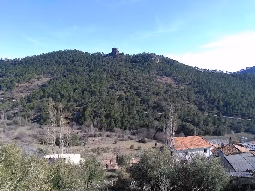 Mes&oacute;n Pino del Toril