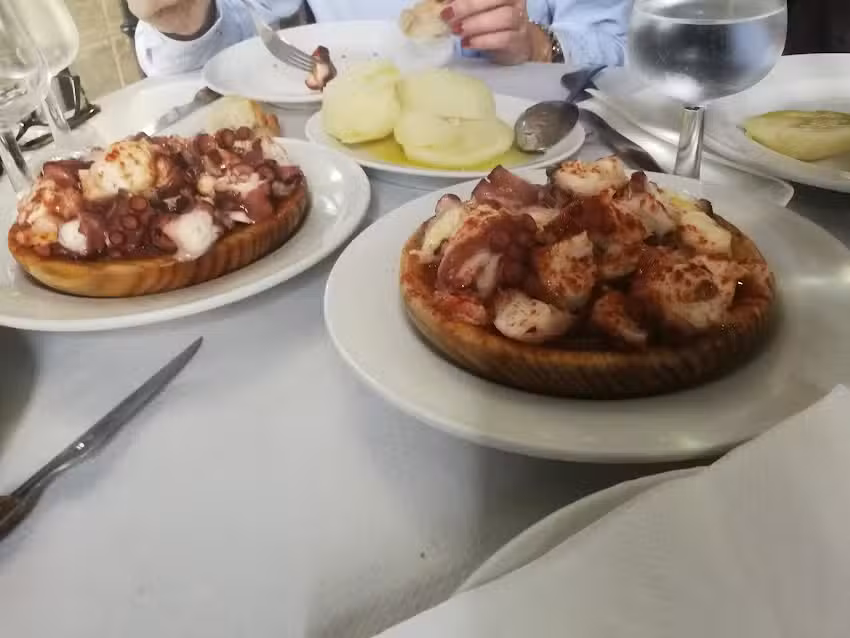 Mes&oacute;n Pulper&iacute;a O T&iacute;pico