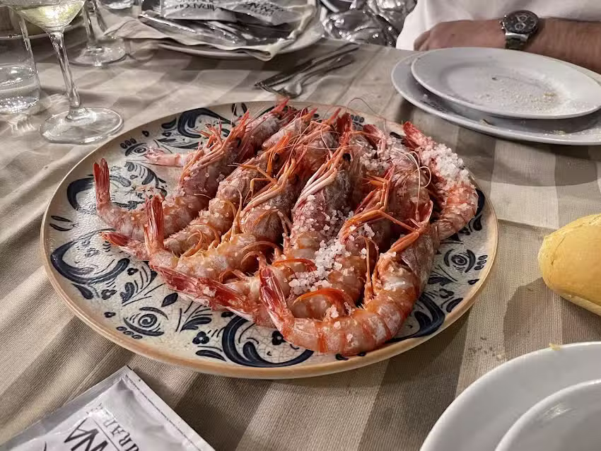 Mirador de Do&ntilde;ana