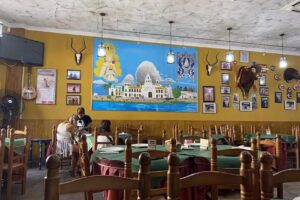 Mis viejos Don Jam&oacute;n ll